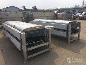 34轴鸭子脱毛机价格解析与屠宰设备产品报价指南